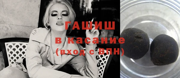 гашик Алексин