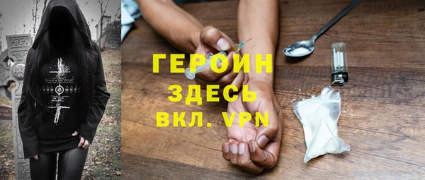 гашик Алексин