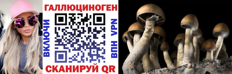 ОМГ ОМГ   Гусиноозёрск  Галлюциногенные грибы MAGIC MUSHROOMS 